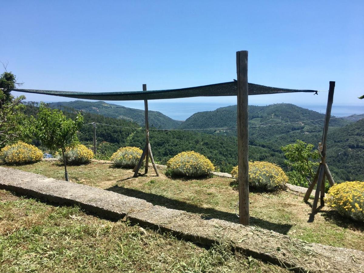 Agriturismo Lavalleggia Tovo San Giacomo Exteriör bild