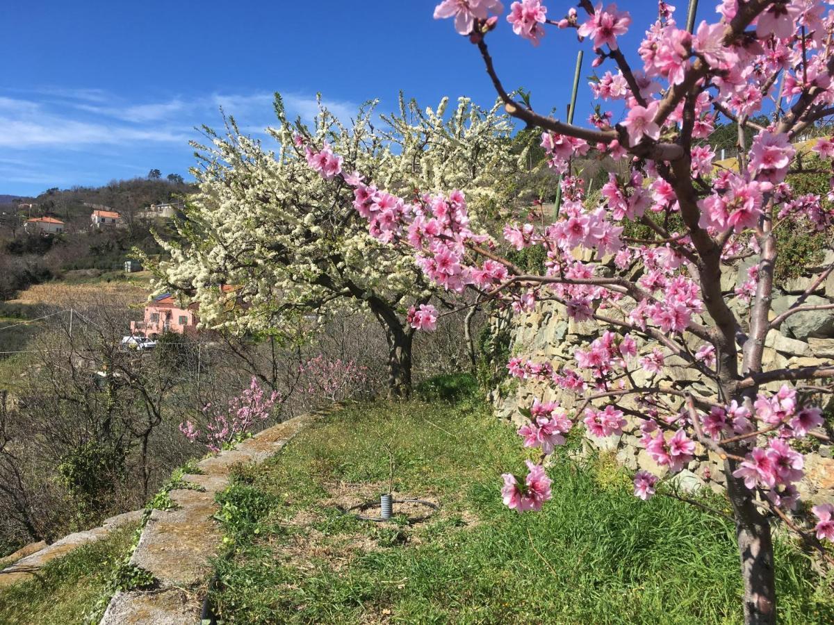 Agriturismo Lavalleggia Tovo San Giacomo Exteriör bild