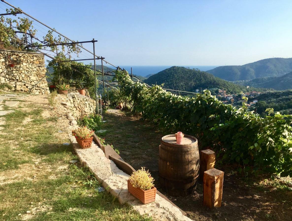 Agriturismo Lavalleggia Tovo San Giacomo Exteriör bild