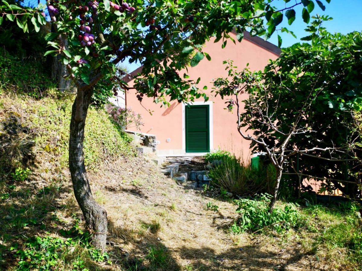 Agriturismo Lavalleggia Tovo San Giacomo Exteriör bild