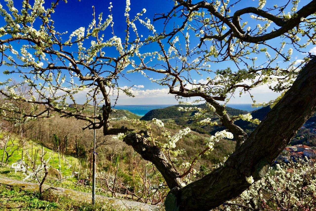 Agriturismo Lavalleggia Tovo San Giacomo Exteriör bild